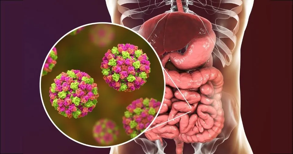 Wellhealthorganic: Key Signs of Gastroenteritis