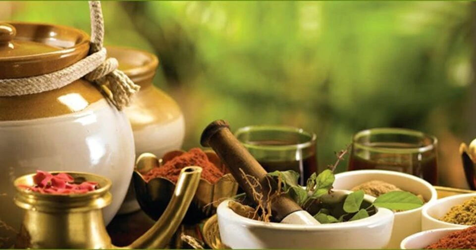 The Power of Ayurvedic Home Remedies: Your Guide to Holistic Health