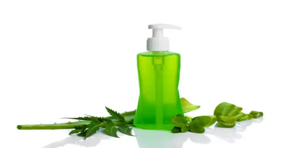 Wellhealthorganic Neem And Aloe Vera: Nature's Wellness Duo