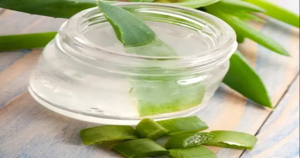 Neem